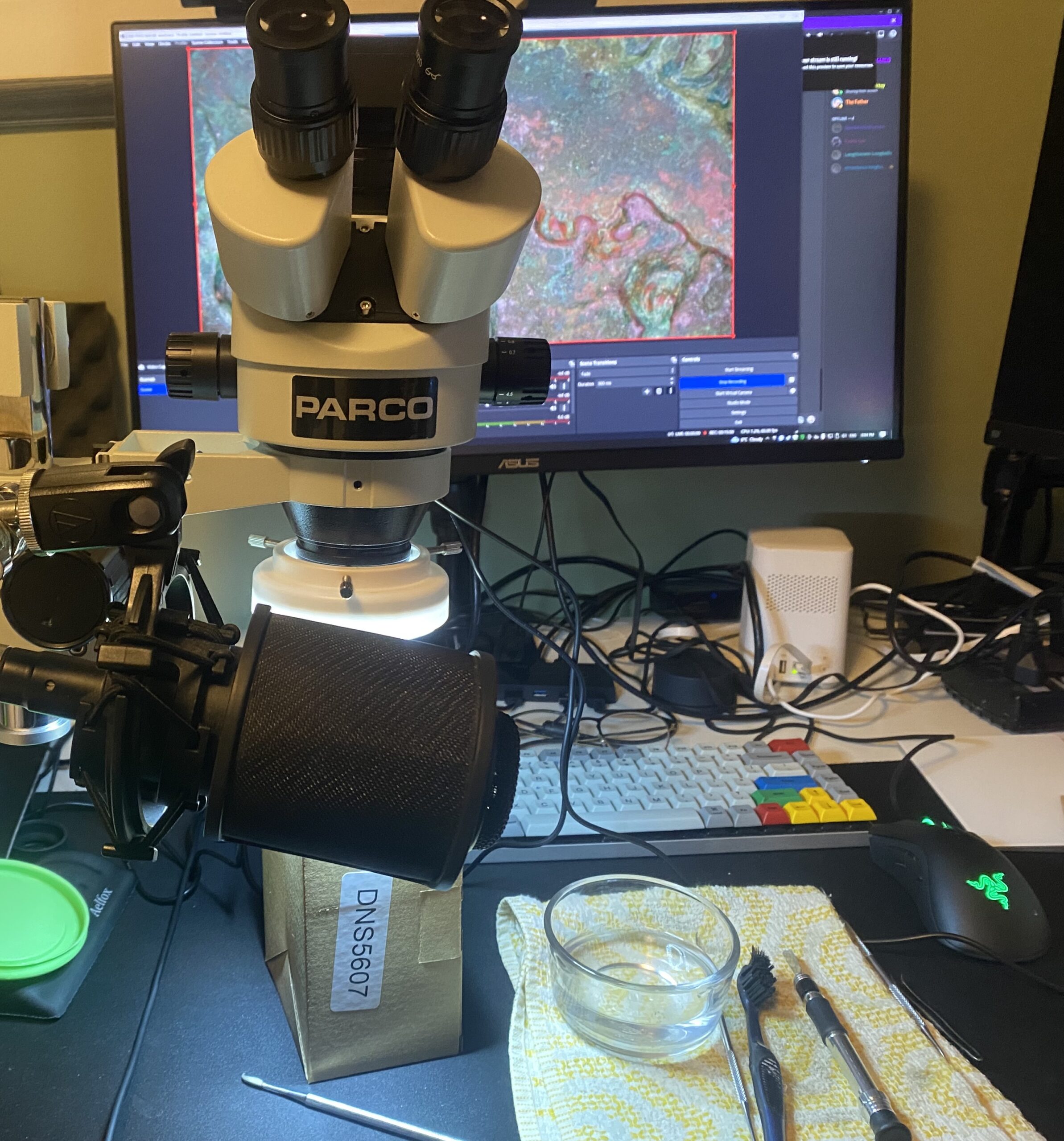 Buying a Stereo Microscope